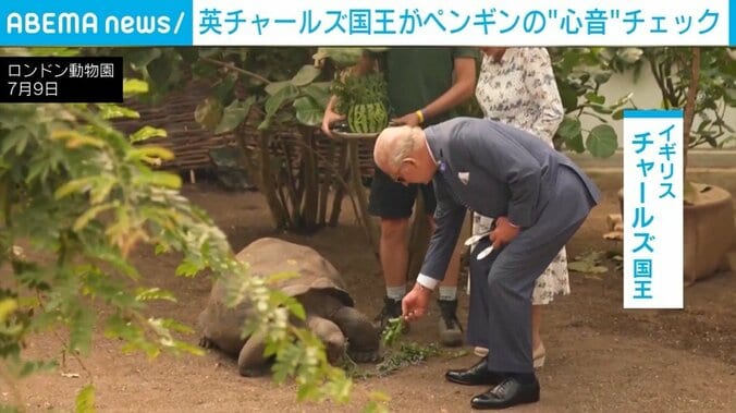 ロンドン動物園