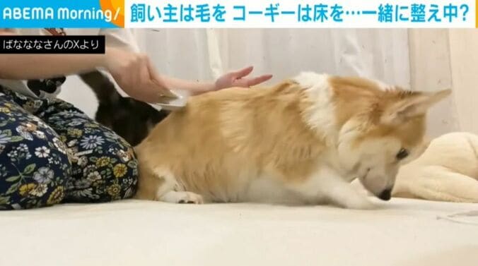 ばなななさんのXから