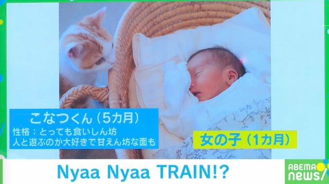 「僕らはいつも以心伝心にゃ？」赤ちゃんと子猫のキュートな“寝相”に悶絶の声「癒される〜」 1枚目