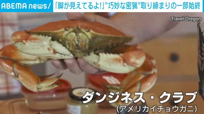ダンジネス・クラブ