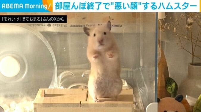 ぽてちまるくん
