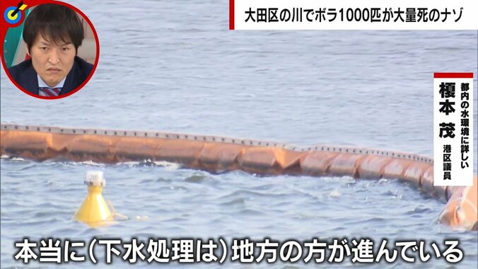 「東京の下水は日常的に河川に垂れ流し」区議が警鐘 水質汚濁で遷都を検討する世界の事例も 3枚目