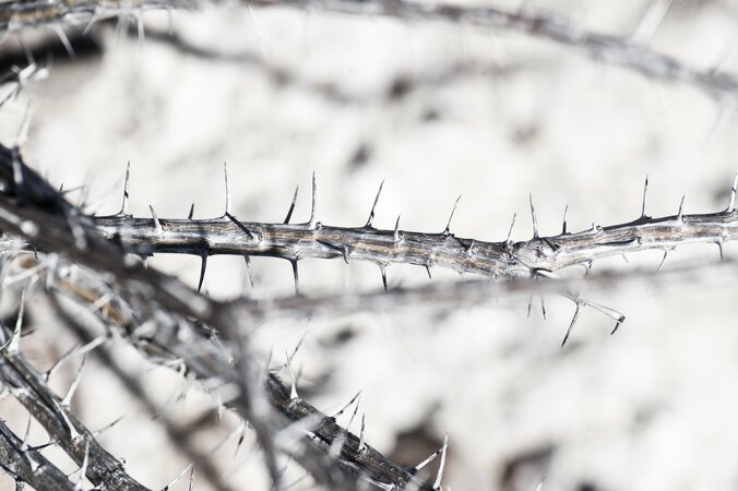 アメリカ=メキシコ間の国境問題を描く衝撃作『ノー・エスケープ 自由への国境』　過酷なロケ地写真を公開 10枚目