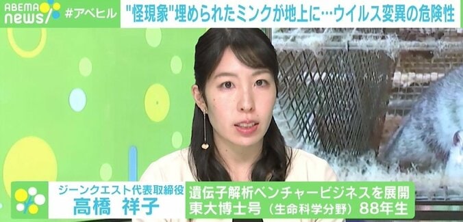 「ゾンビになったミンクが追いかけてくるぞ」 埋められた死体が地上に姿を現す“怪現象” デンマーク 2枚目