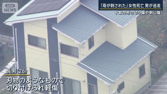 長男