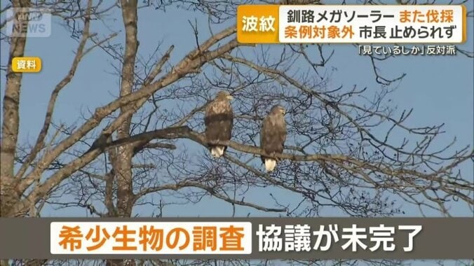 希少生物の調査も協議が未完了
