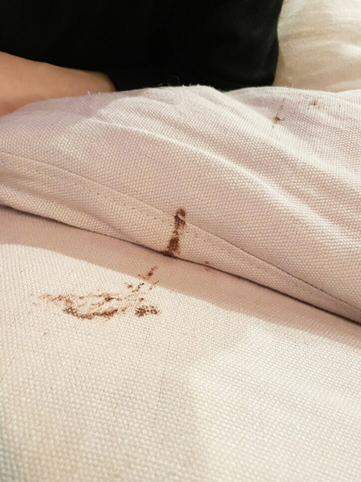 あいのり・桃、夫の“やらかし”を報告「白いソファーを選んだ私が悪い」