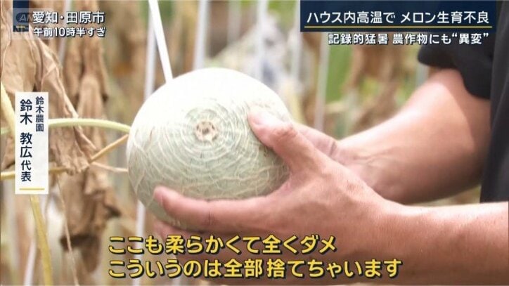 メロン