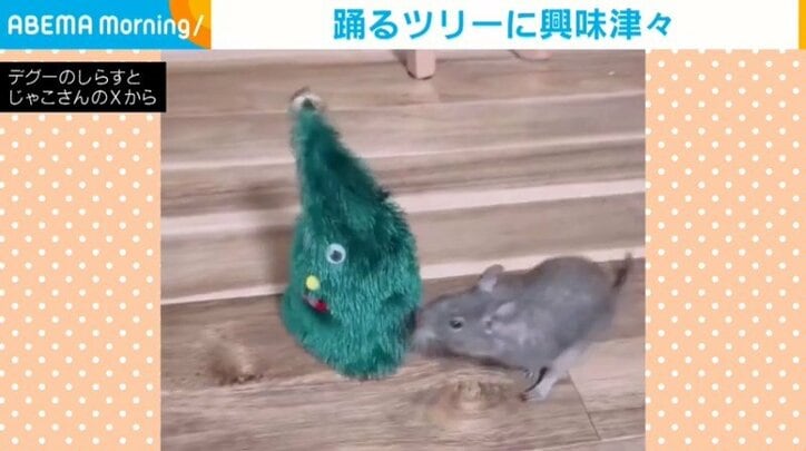 デグーマウスのしらすくん