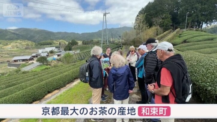 京都最大のお茶の産地　和束町