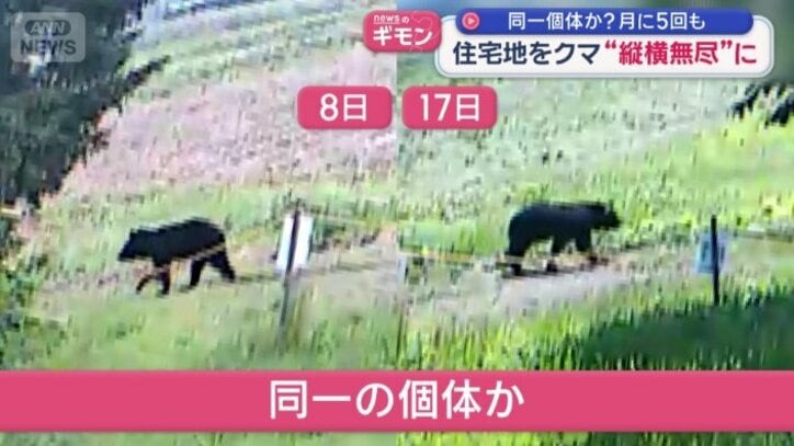 同一の個体？