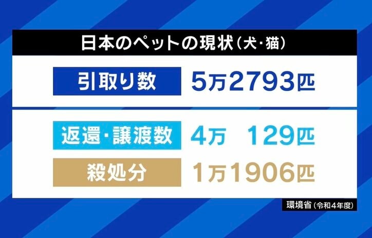 【写真・画像】　5枚目