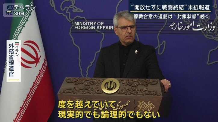 イラン外務省報道官