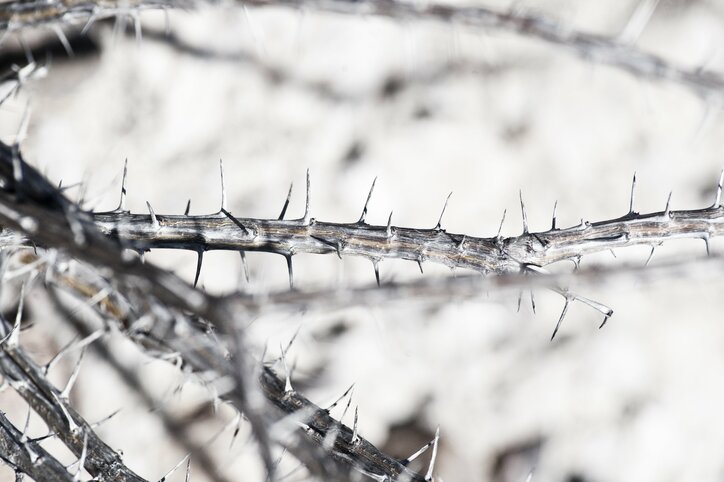 アメリカ=メキシコ間の国境問題を描く衝撃作『ノー・エスケープ 自由への国境』　過酷なロケ地写真を公開