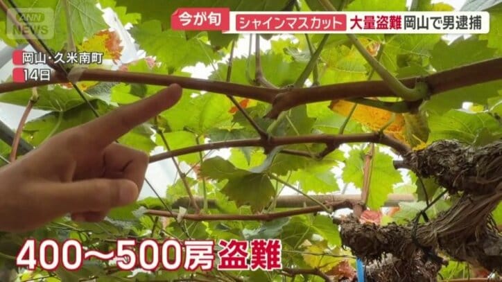 被害額は60万円以上