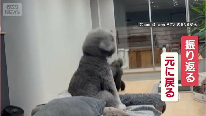 振り返り、すぐに戻る