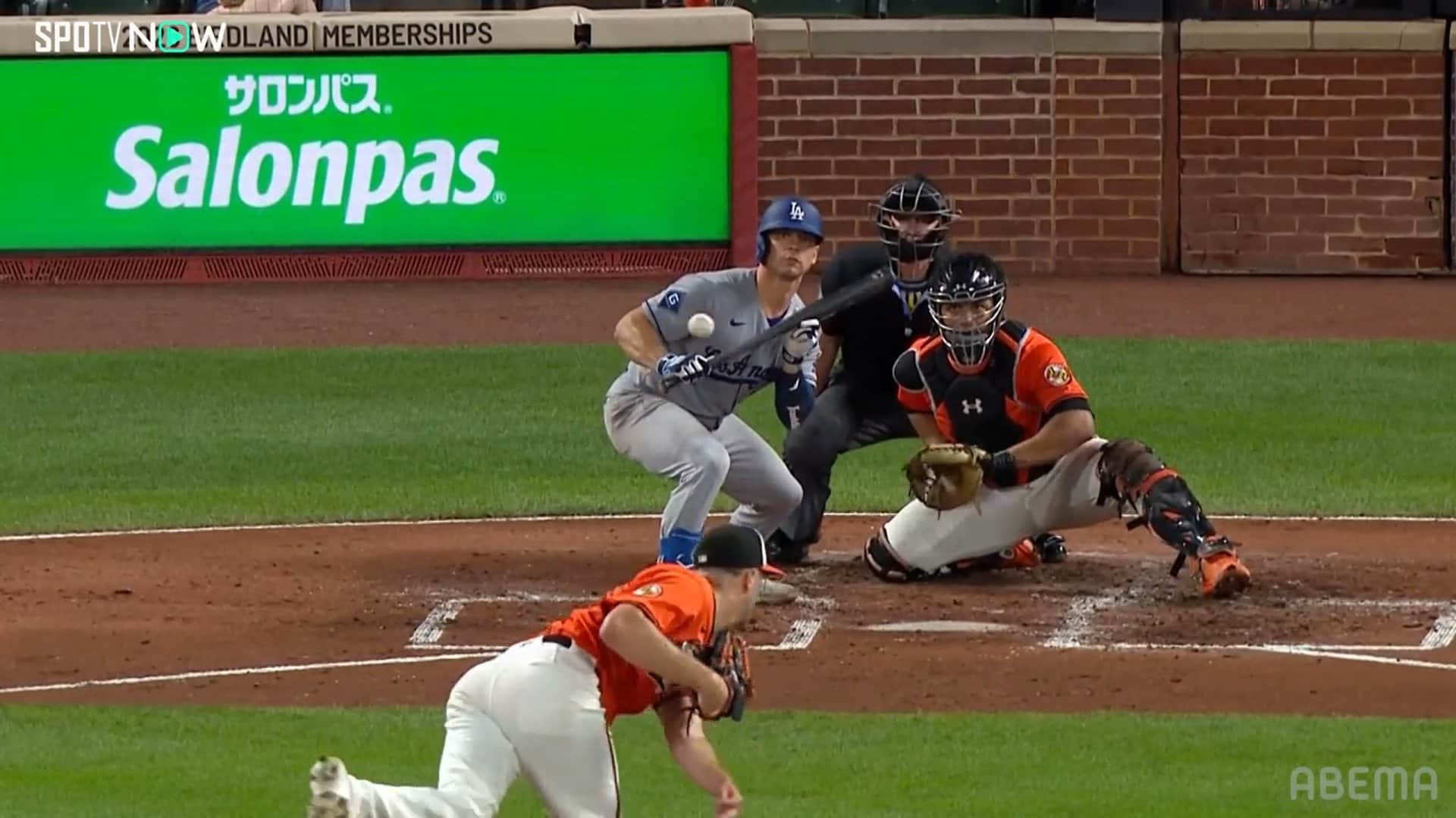 【写真・画像】　1枚目