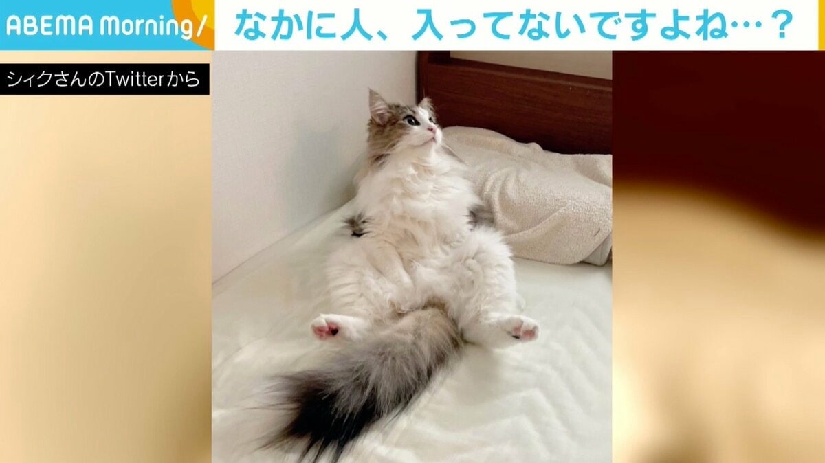 img_18d966789dfd608310013b2d18