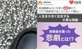 面接集合5分前、足元に緊急事態→“絶対に必要なもの”の“無惨”な姿に「リアルびんぼっちゃまww」「本当に災難すぎる」予期せぬ悲劇に爆笑と励ましの声