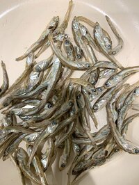 吉川ひなの『土曜の朝♡』