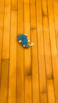 堀ちえみ『驚かれた舌打ち！』