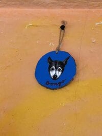 野沢直子『いつまでもアイドル』