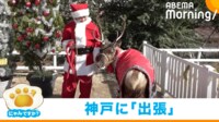 【映像】神戸どうぶつ王国にやってきたトナカイ