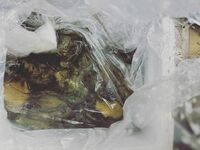 丸山桂里奈『目まぐるしく時間が過ぎていきます。』