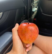 市川海老蔵『最近抜け出せないもの』