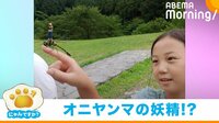 【映像】人間を乗せた？オニヤンマの“奇跡の一枚”