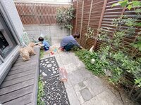 辻希美『午後は♡』