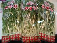 山田花子『通ったお店』