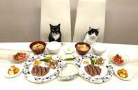 藤あや子『昨日の晩ごはん』