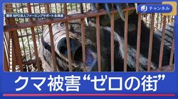 柿の木に半日“居座り”クマ　原田式ゾーニングで「人身被害ゼロの街」も