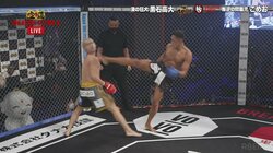 【画像】アゴの先端を打ち抜かれるこめお