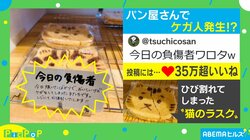 パン屋で見つけた“かわいい負傷者”「素晴らしい」「ユニークなアイデア」と話題 販売店「無事に引き取られていきました」