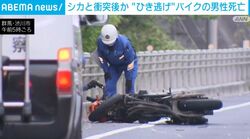 シカと衝突か 後続車が“ひき逃げ” バイクの男性死亡
