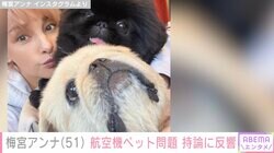 梅宮アンナ、航空機ペット問題への持論展開も「犬が大事ならプライベートジェット買えよ」など心ない声