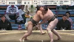 力士の髷が綺麗な“ポニーテール”になった激戦の珍事 「僧帽筋やっば」「気持ちも内容もいい」心技体でファンを魅了