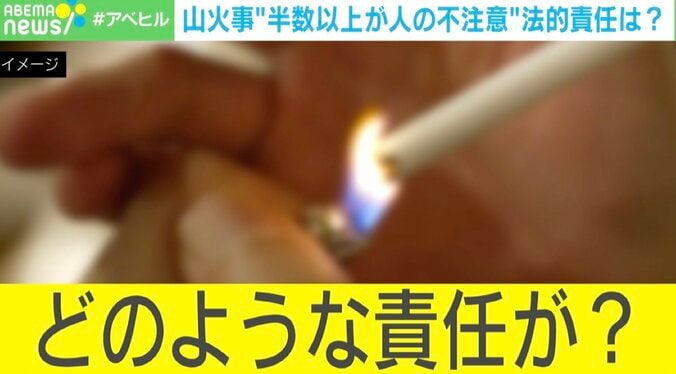 【写真・画像】「山火事の法的責任」は？ 3年以下の禁錮または150万円以下の罰金となる「重過失」とは？　1枚目