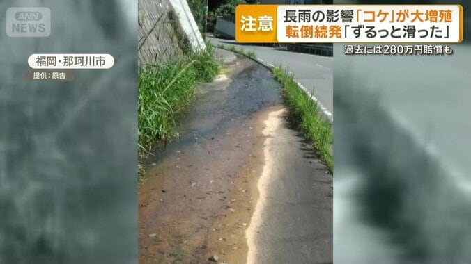 福岡県那珂川市で裁判に発展したケース