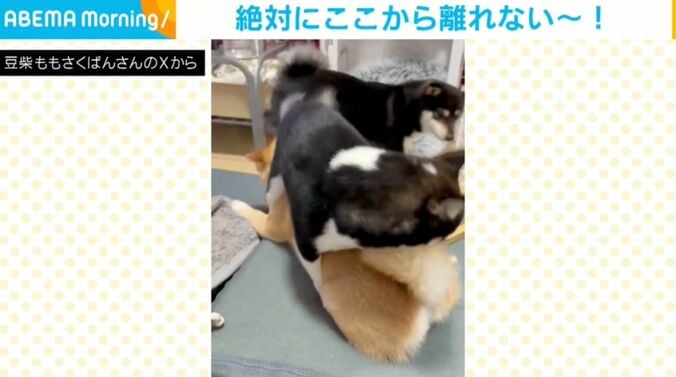鬼山桃ノ助くん