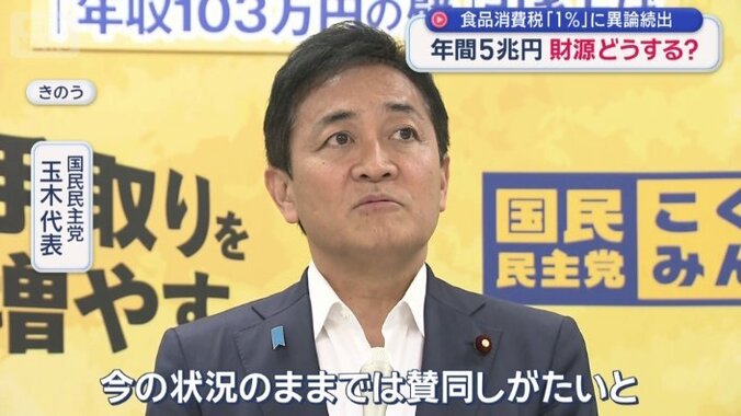 国民民主党　玉木代表