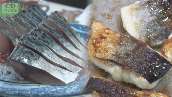 「サバショック」国産も輸入もピンチなぜ？“アノ魚”が食卓の救世主に！？ 1枚目