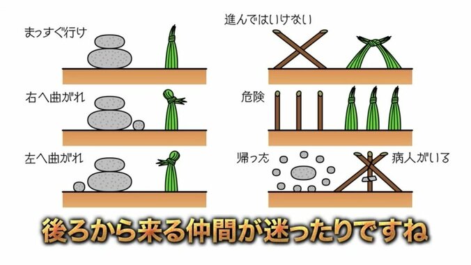 山などで遭難した際の救助費用はかなりの高額？ ナスDが明かすサバイバル豆知識にバイきんぐも感心 3枚目