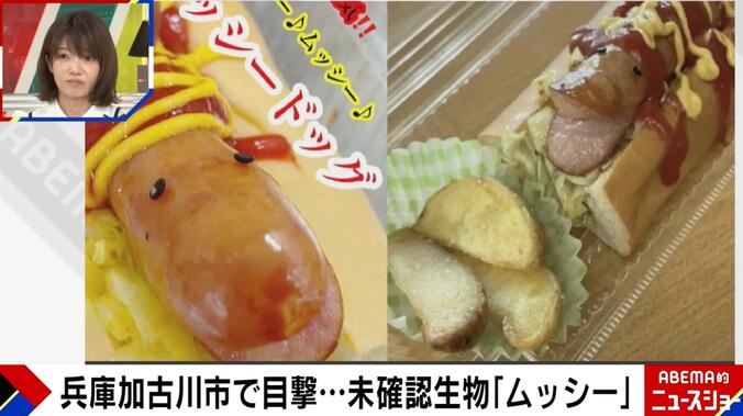 ムッシードッグ