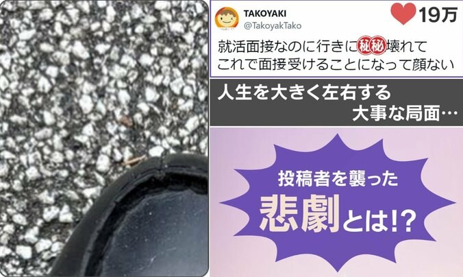 投稿