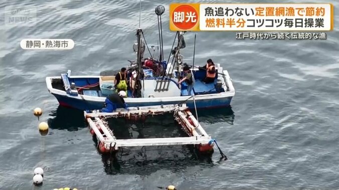 必要な分だけ水揚げするスタイル