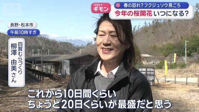 四賀むらづくり　柳澤由美さん