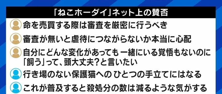 “月額380円で審査なし” 賛否の声があがる「ねこホーダイ」にNPO代表「所有権が不明確。死んでしまったら誰が責任を取るのか」